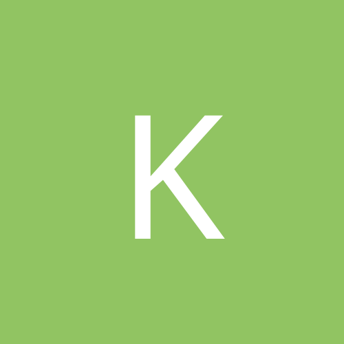 kot_kileka